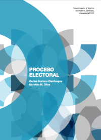 Image of DERECHO ELECTORAL