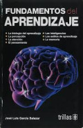 Fundamentos del aprendizaje