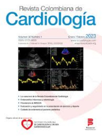 Image of Cuidado de enfermería al paciente pediátrico con tetralogía de Fallot intervenido quirúrgicamente : una revisión de alcance