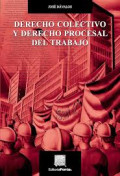 Derecho colectivo y derecho procesal del trabajo