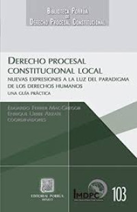 Image of Derecho procesal constitucional local : nuevas expresiones a la luz del paradigma de los derechos humanos : una guía práctica