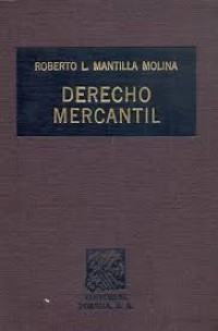 Image of Derecho mercantil : introducción y conceptos fundamentales sociedades