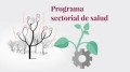 Programa sectorial derivado del Plan Nacional de Desarrollo 2019-2024