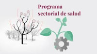 Image of Programa sectorial derivado del Plan Nacional de Desarrollo 2019-2024