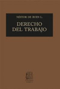 Image of Derecho del trabajo : tomo primero : conceptos generales