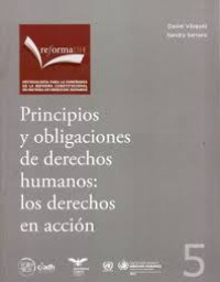 Image of Principios y obligaciones de derechos humanos : los derechos en acción
